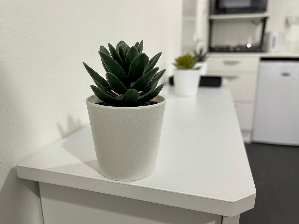 Wisteria Studio Лондон Екстер'єр фото